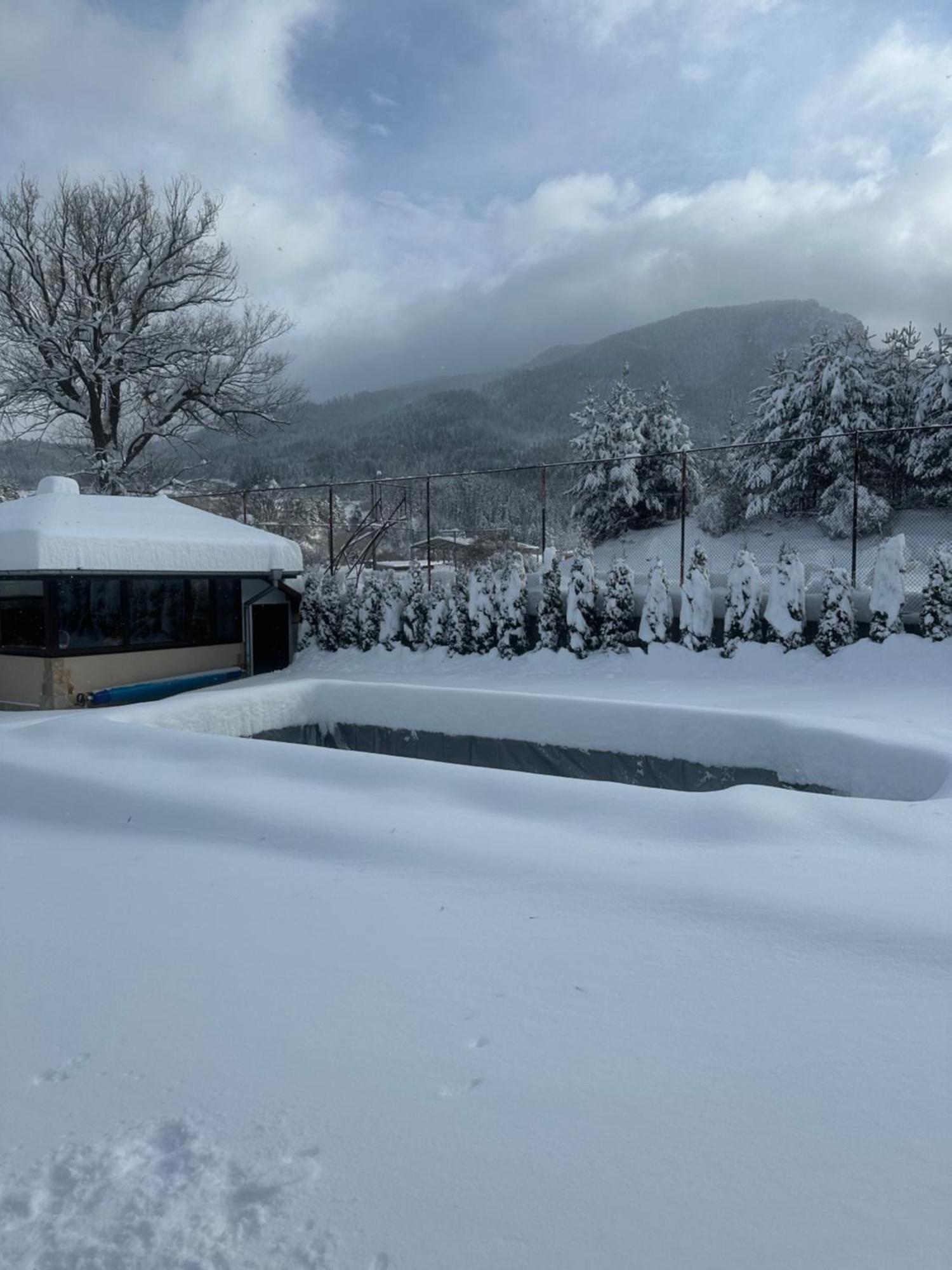 Villa Paradise Beli Iskar Exteriör bild