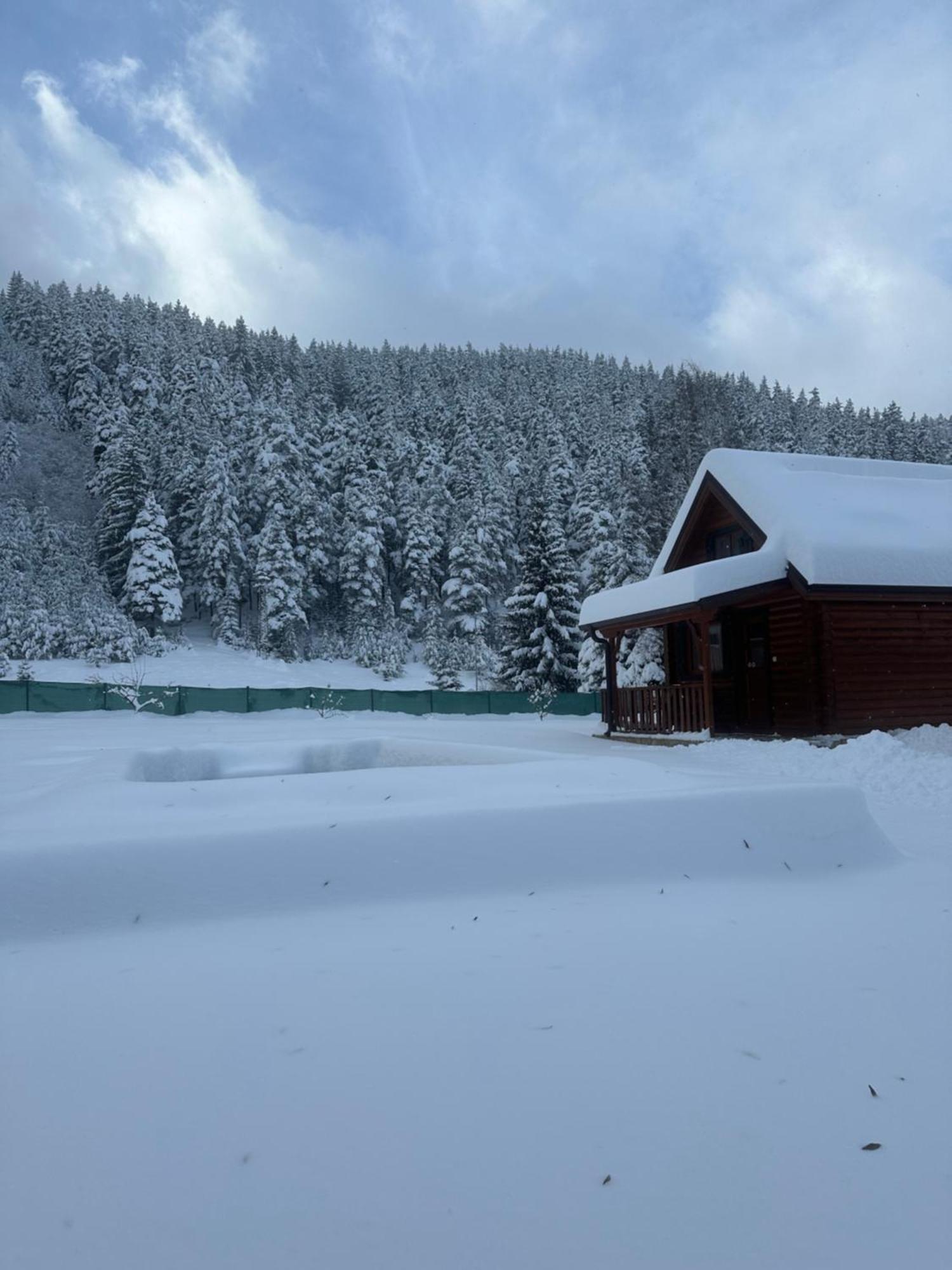 Villa Paradise Beli Iskar Exteriör bild