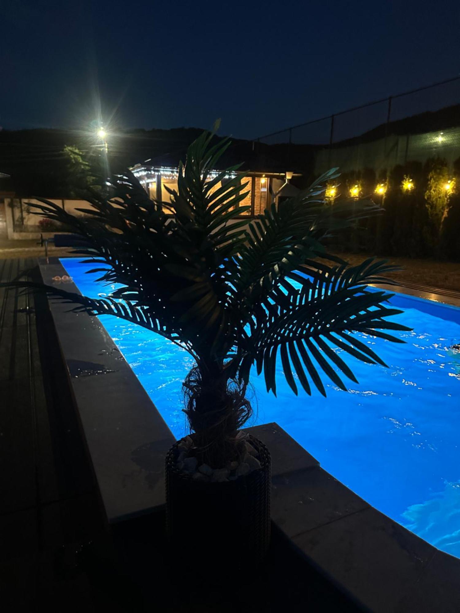 Villa Paradise Beli Iskar Exteriör bild