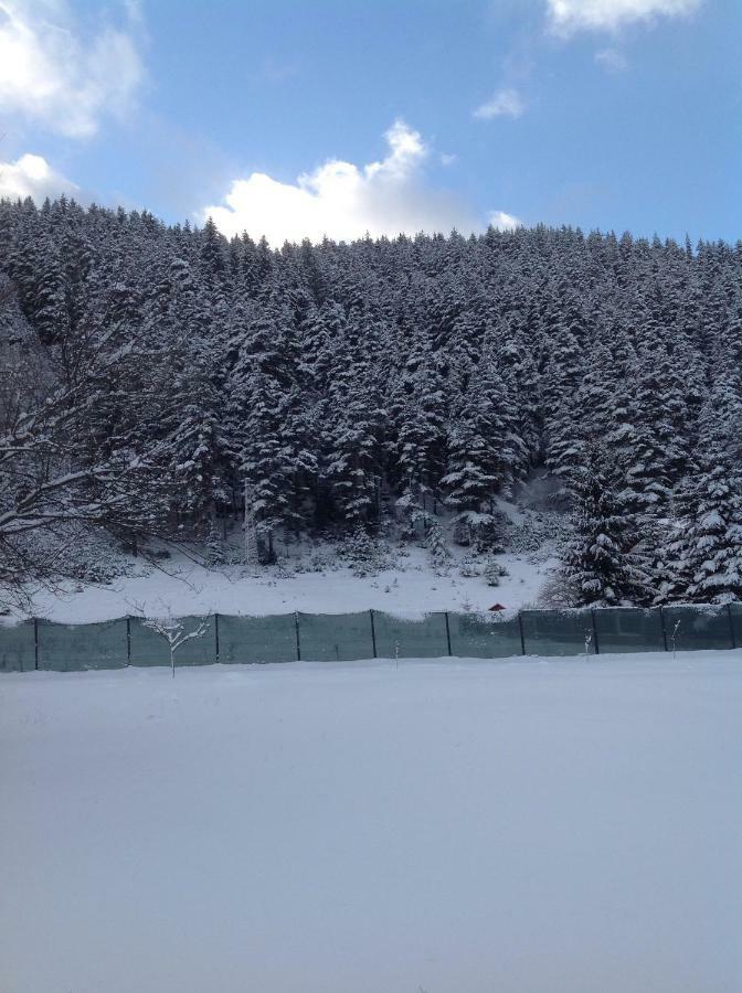 Villa Paradise Beli Iskar Exteriör bild