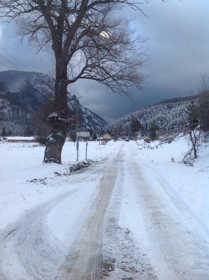 Villa Paradise Beli Iskar Exteriör bild